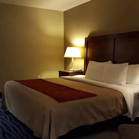 Comfort Inn & Suites Sequoia Kings Canyon-3